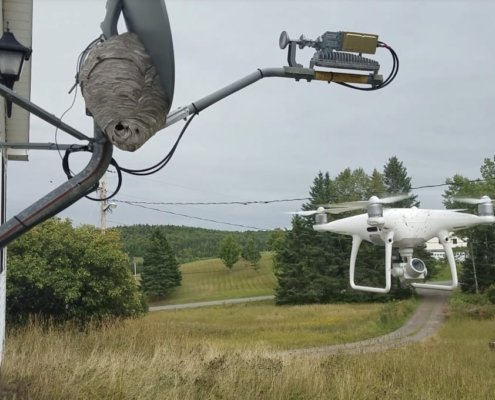 DJI Phantom 4 Pro en vuelo atacando un nido de avispa de cara calva.